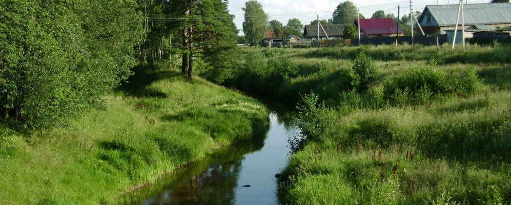 
            Фотография Пошатово