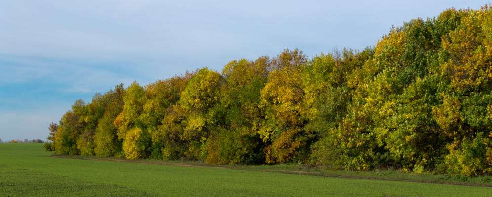 
            Фотография Грозы