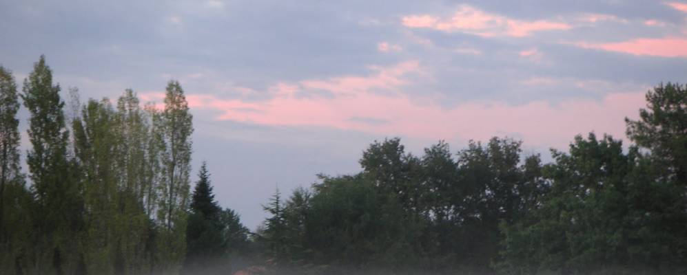 
            Фотография Изона