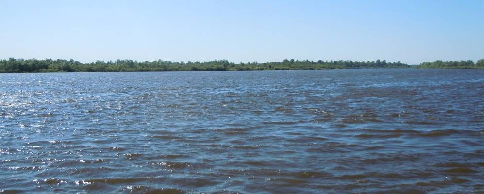 
            Фотография Колочина