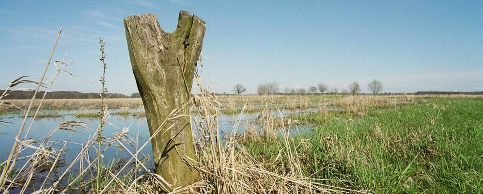 
            Фотография Бад Зюльце