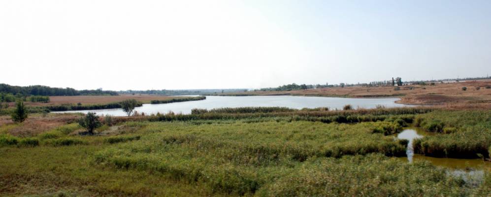 
            Фотография Сибирьков