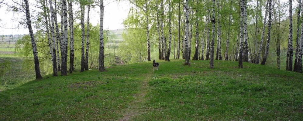 Фотография Яниково