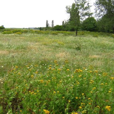 Комсомольский