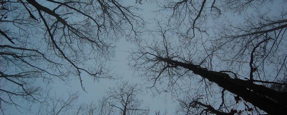 
            Фотография Бор-Л'Этан