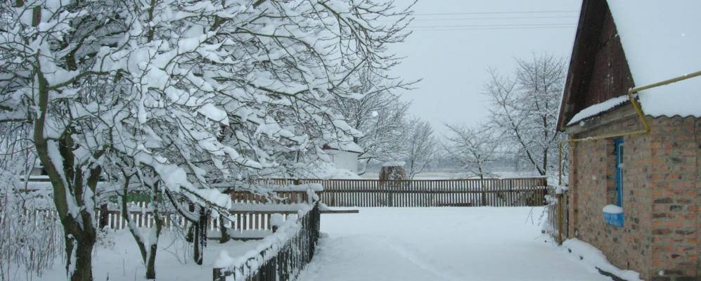 
            Фотография Вишневого