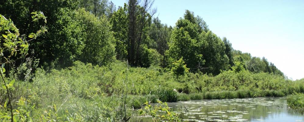 
            Фотография Сёмкино