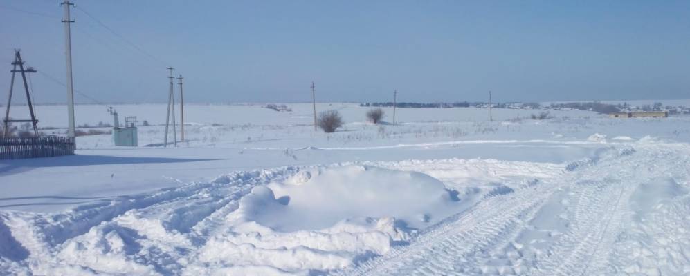 
            Фотография Тоймы