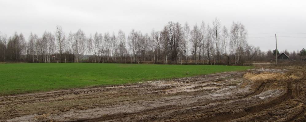 
            Фотография Марково