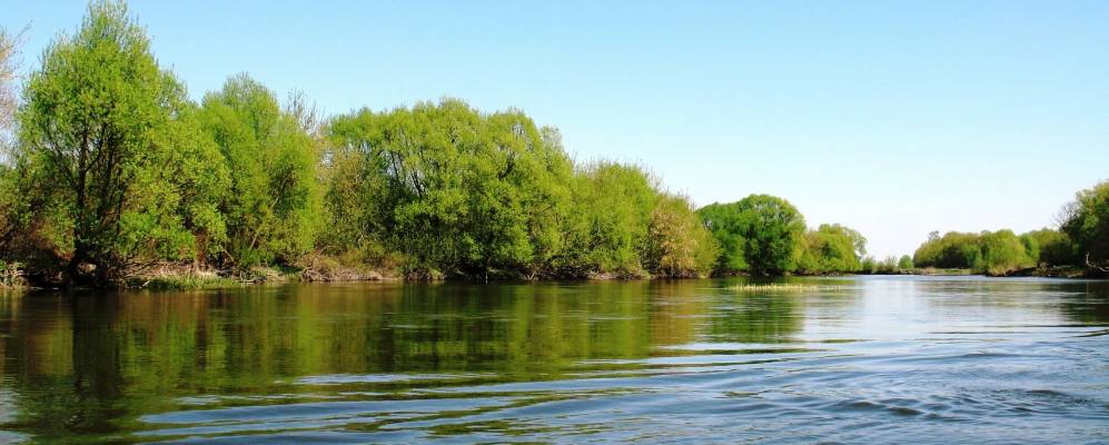 
            Фотография Посудичей