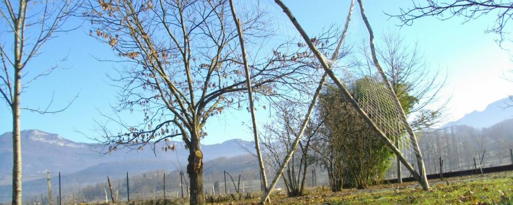 
            Фотография Йенна