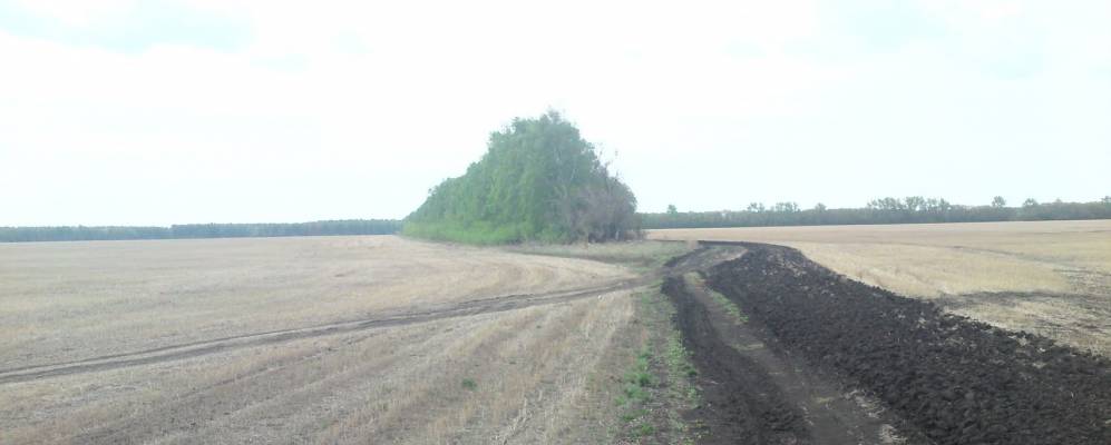 
            Фотография Лесногорского