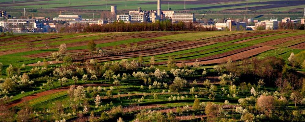 
            Фотография Савинешти