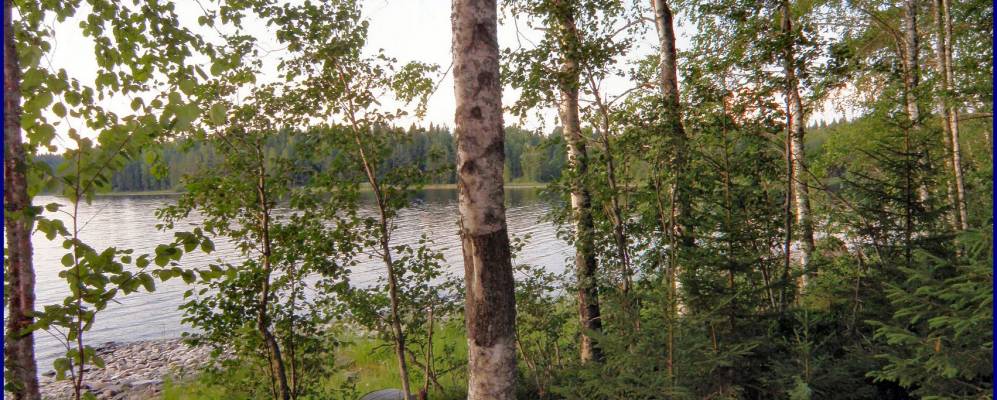 
            Фотография Лааи