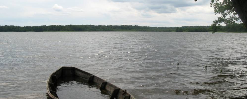 
            Фотография Костюжино