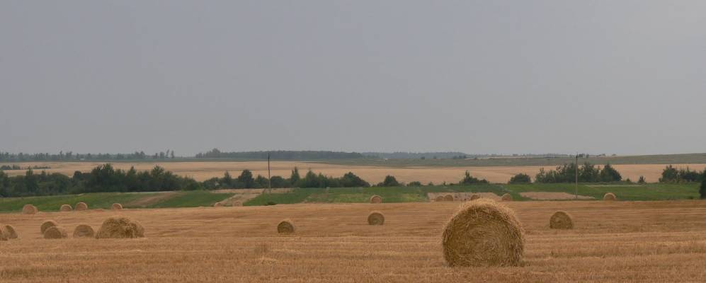 
            Фотография Усово