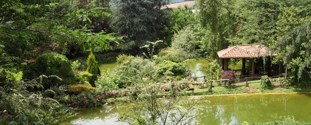 
            Фотография Пальано