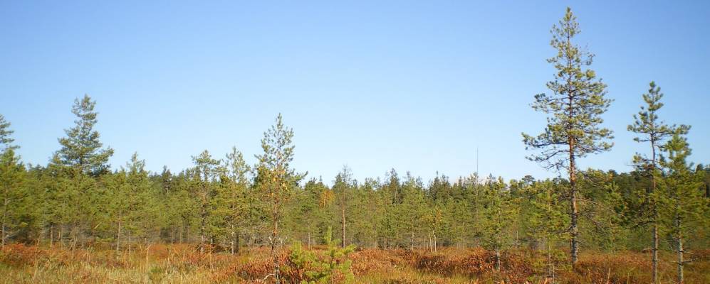 
            Фотография Хвошни