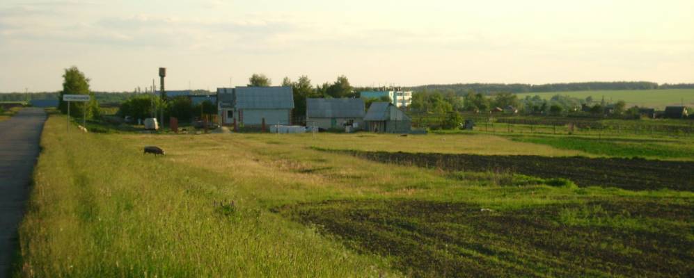 
            Фотография Масловки