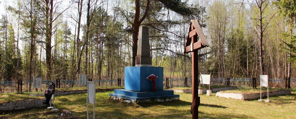 
            Фотография деревни Сырмолоты