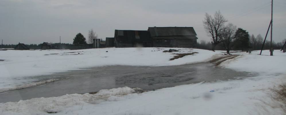 
            Фотография Сафоново