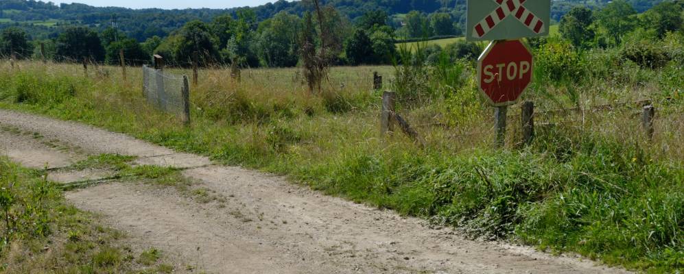 
            Фотография Ланглериаль