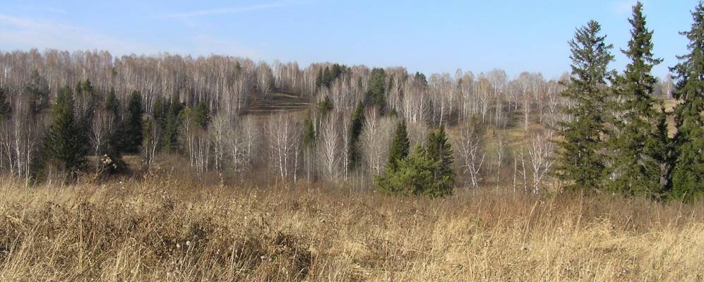 
            Фотография Сухарево