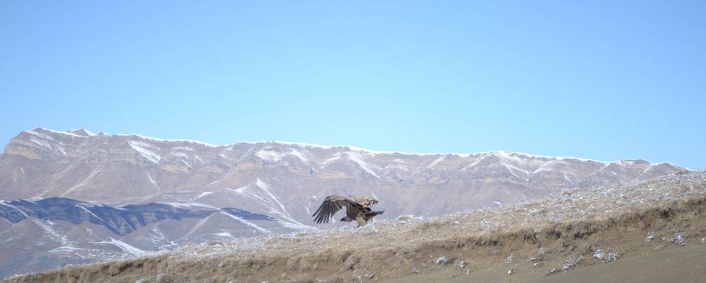 
            Фотография поселка Мукракари (Муркарах)