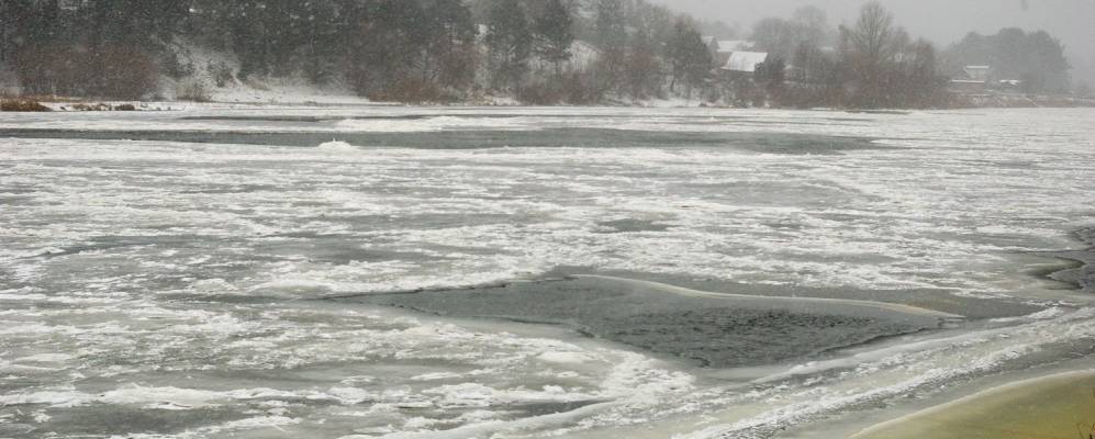 Фотография деревни Дашковцы