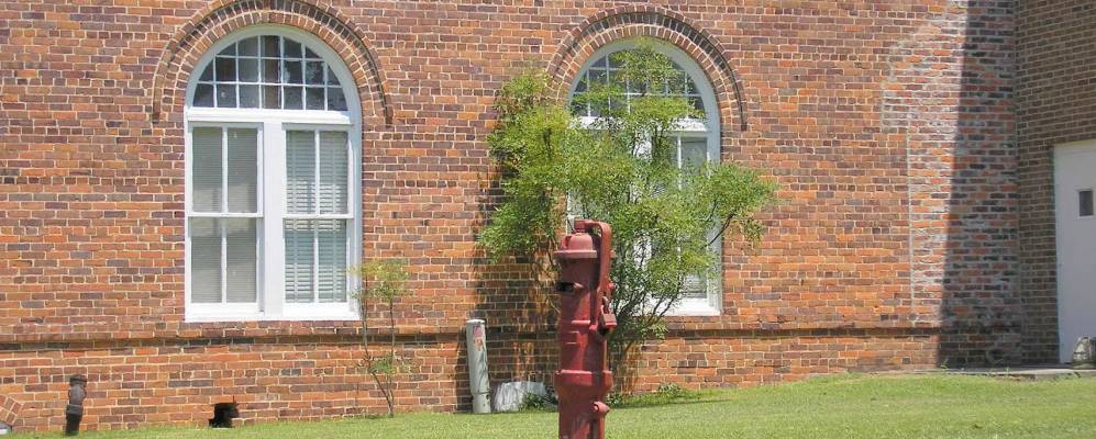 
            Фотография Ред Спрингса