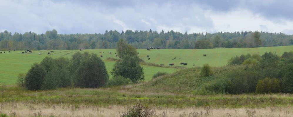 Фотография Тереньково