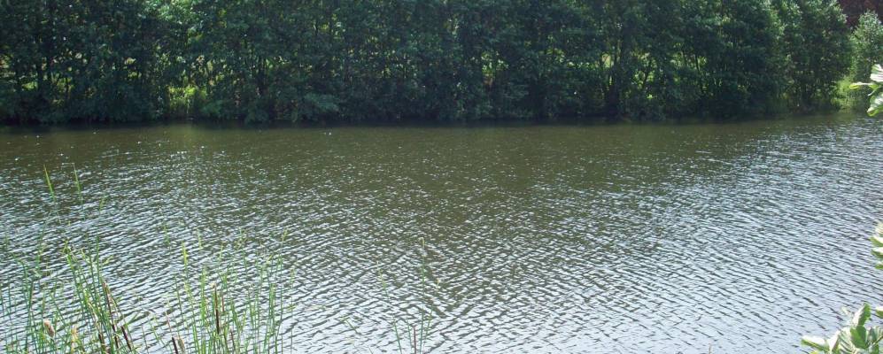 
            Фотография Старой Березовки