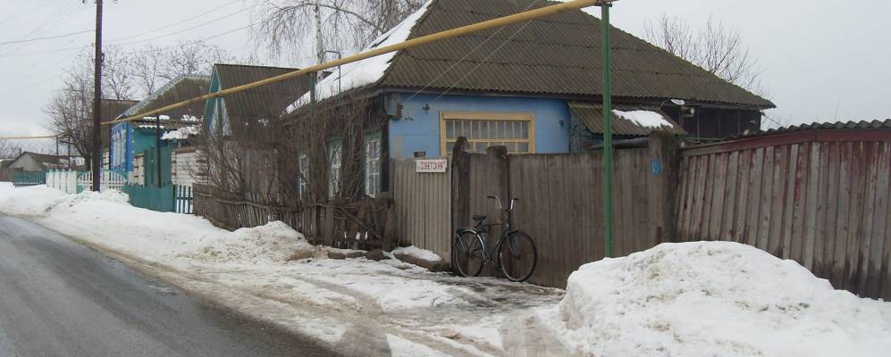 
            Фотография Рождественки