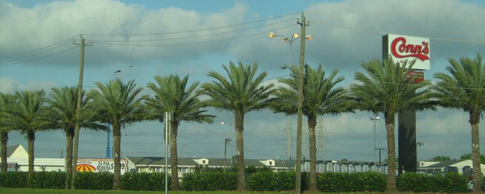 
            Фотография Вебстера