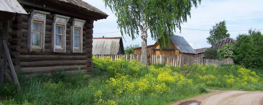 Фотография Нивино