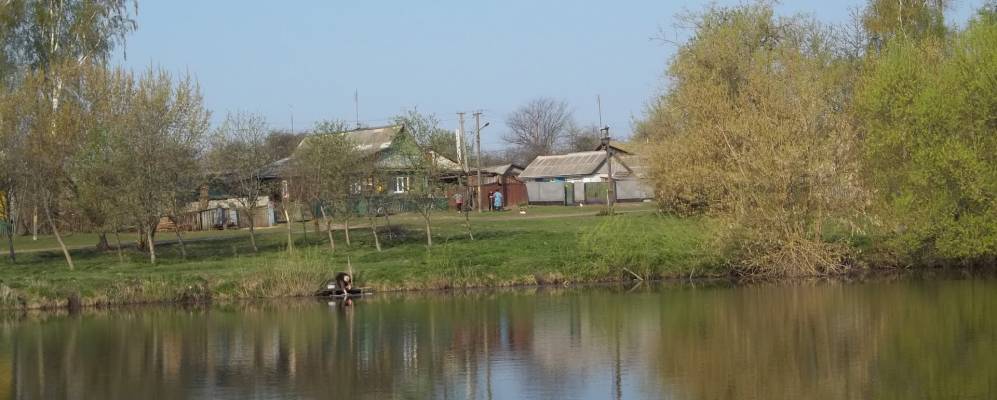 
            Фотография Ломоносово