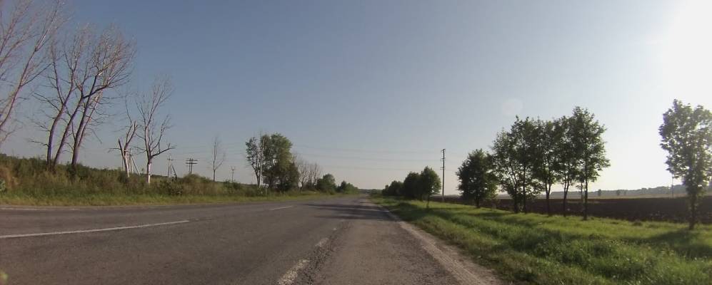 
            Фотография Орепы