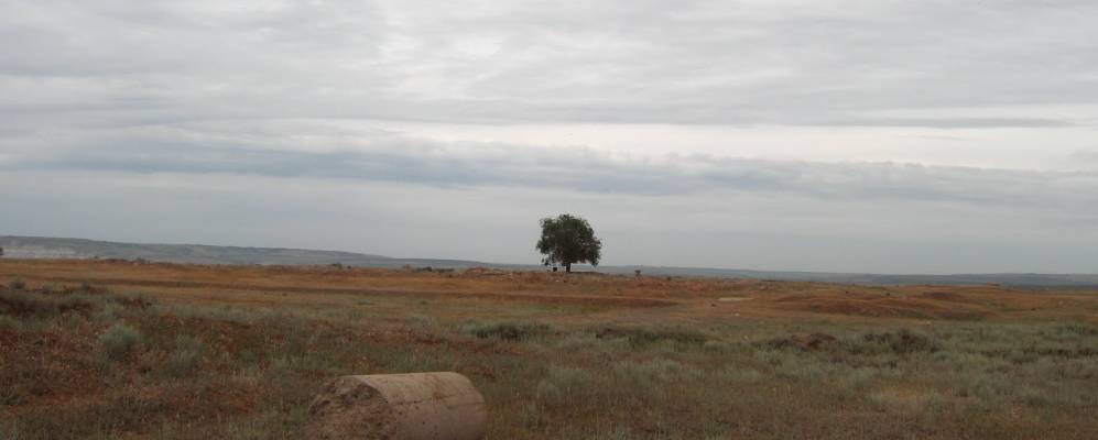 
            Фотография Очкуровки