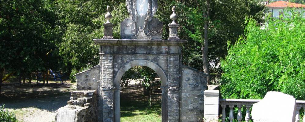 
            Фотография Бедонии