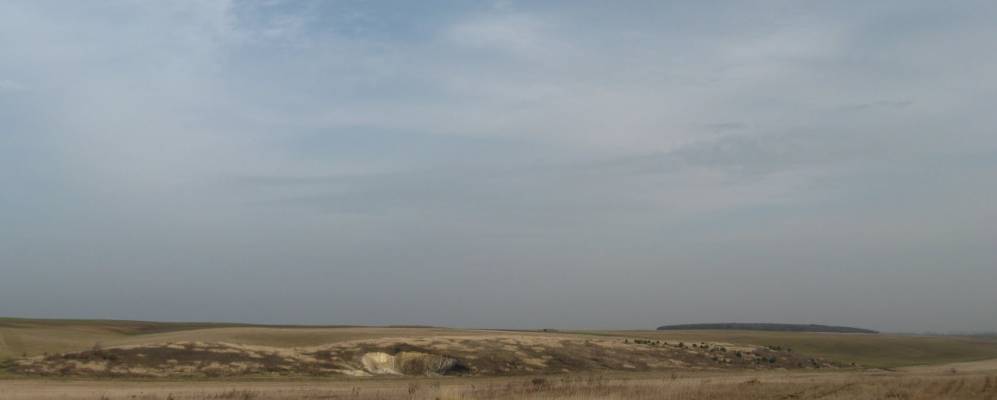 
            Фотография Ватина