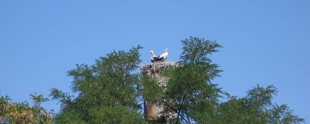 
            Фотография Михайловки Первой