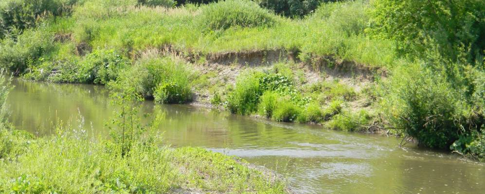 Фотография Реки Демы