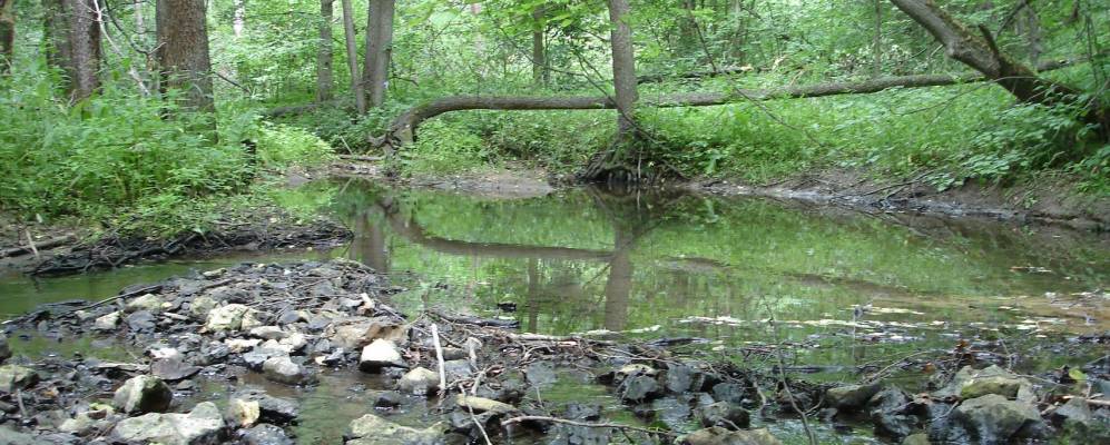 Фотография Сивцево