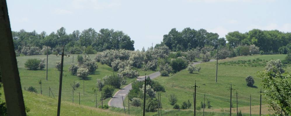 
            Фотография Подлепичи