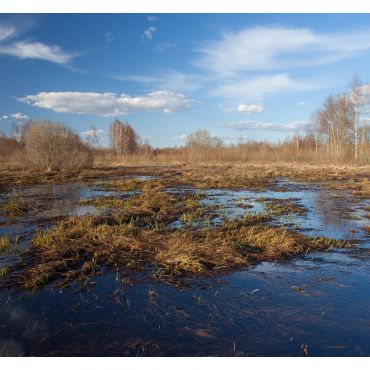 Новое Несытово