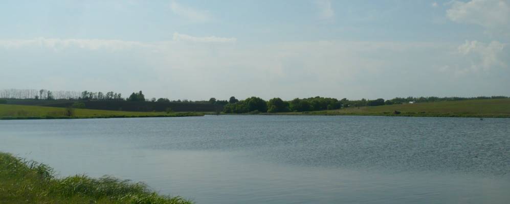 
            Фотография Лопатино