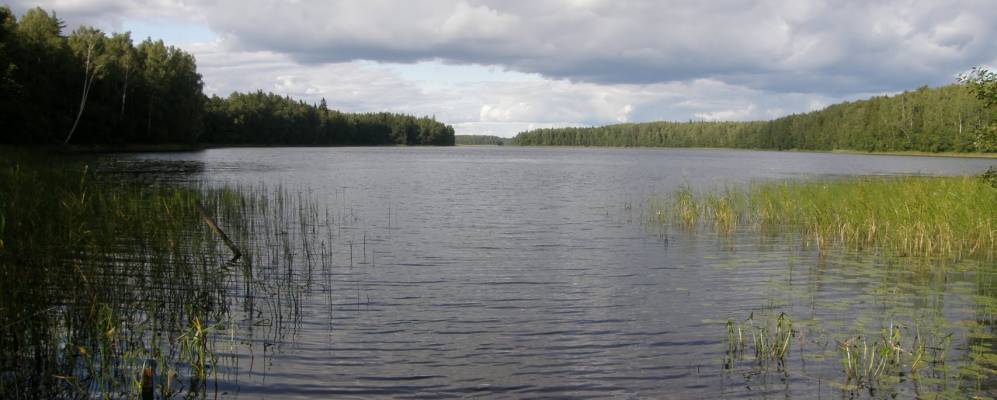 
            Фотография Межно