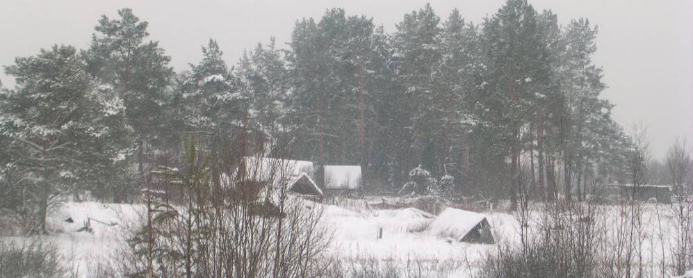 
            Фотография Зинеевки