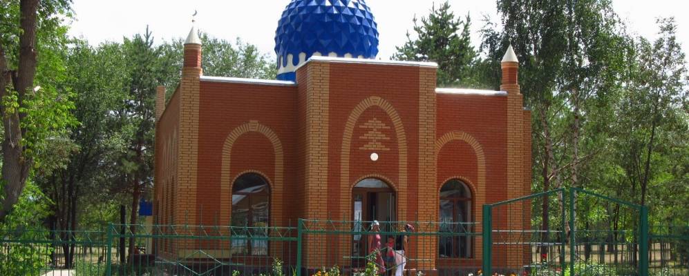 
            Фотография Шиена