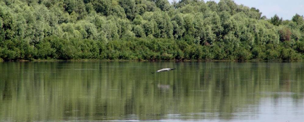 
            Фотография Конотопа